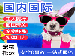 博鳌航空空运国际宠物托运 【国